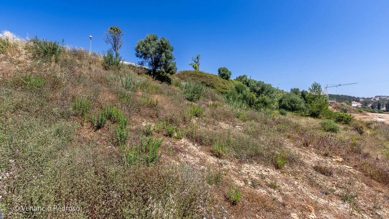 Terreno para Venda em Ericeira Foto 3
