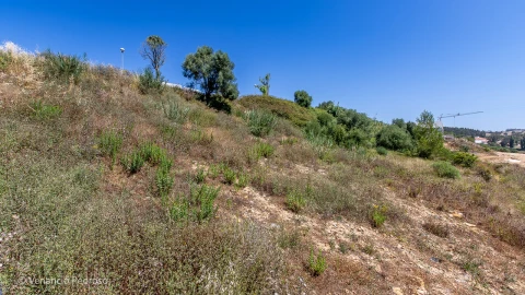 Terreno para Venda em Ericeira