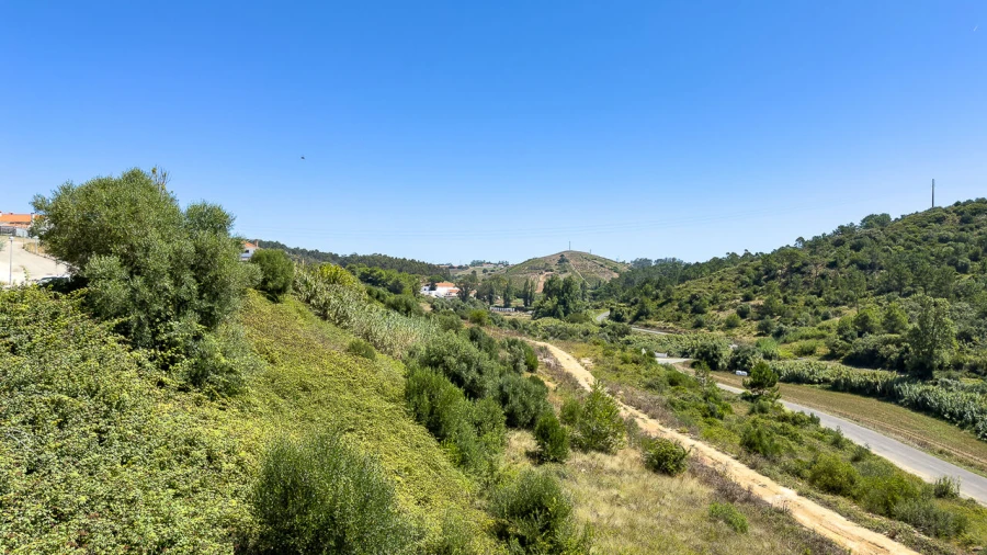 Terreno para Venda em Santo Isidoro Foto 14