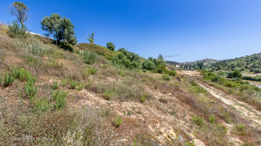 Terreno para Venda em Ericeira Foto 17
