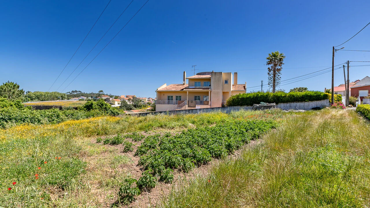 Terreno para Venda em Igreja Nova e Cheleiros Foto 5