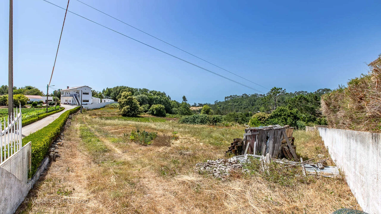 Terreno para Venda em Igreja Nova e Cheleiros Foto 5