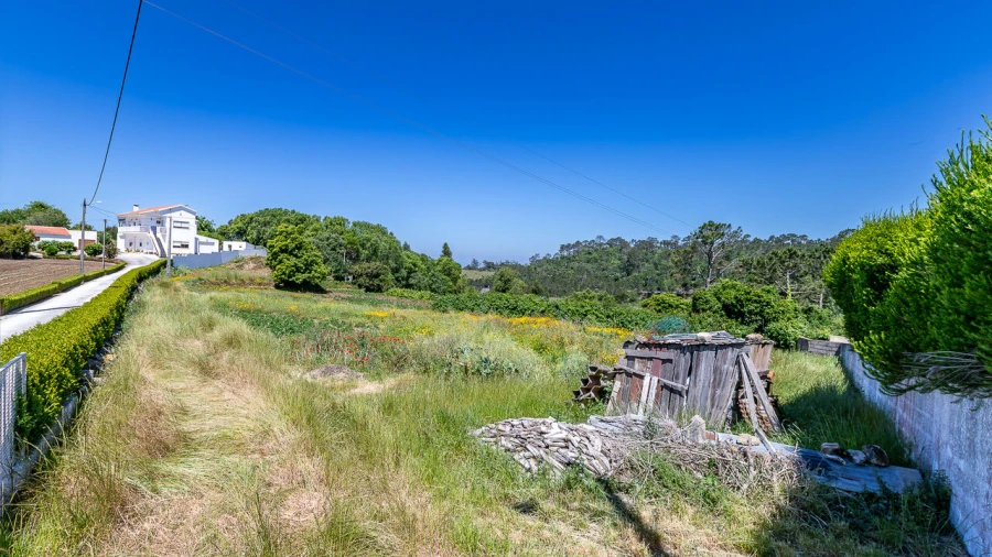 Terreno para Venda em Igreja Nova e Cheleiros Foto 2