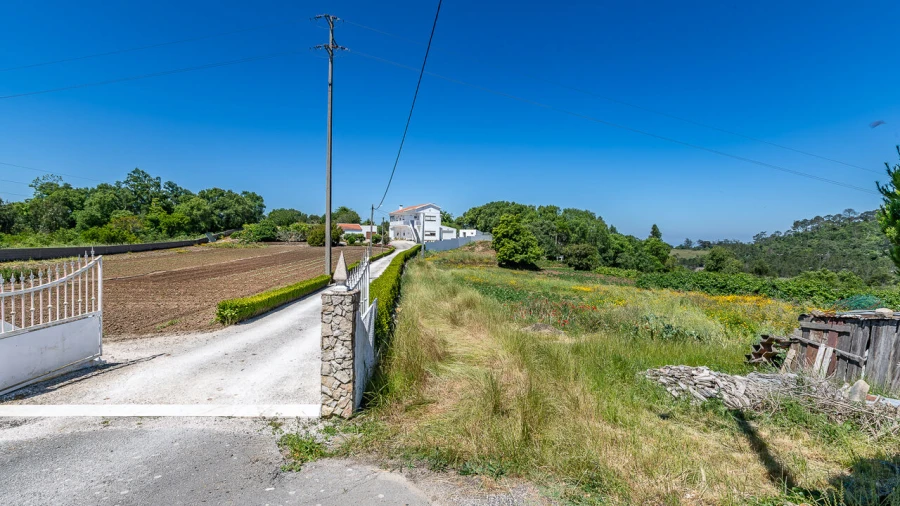Terreno para Venda em Igreja Nova e Cheleiros Foto 14