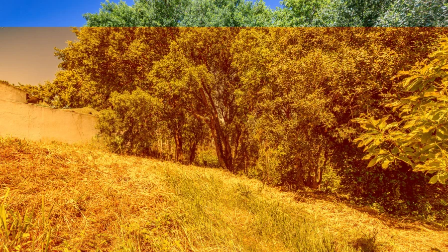 Terreno para Venda em Igreja Nova e Cheleiros Foto 6