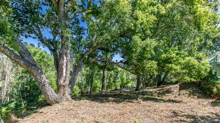 Terreno para Venda em Igreja Nova e Cheleiros Foto 11