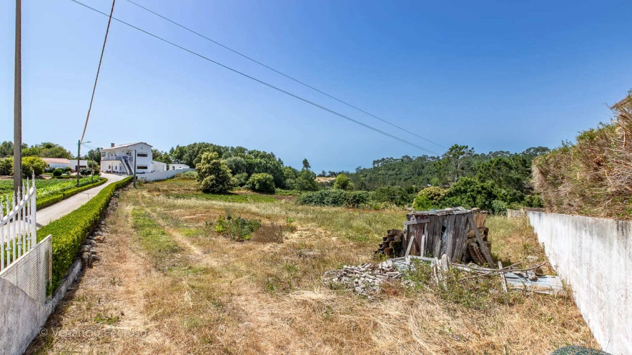 Terreno para Venda em Igreja Nova e Cheleiros Foto 5