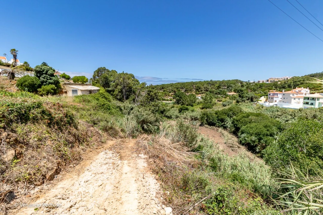 Terreno para Venda em Ericeira Foto 7
