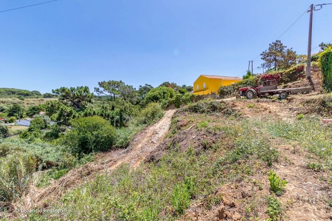 Terreno para Venda em Ericeira Foto 8
