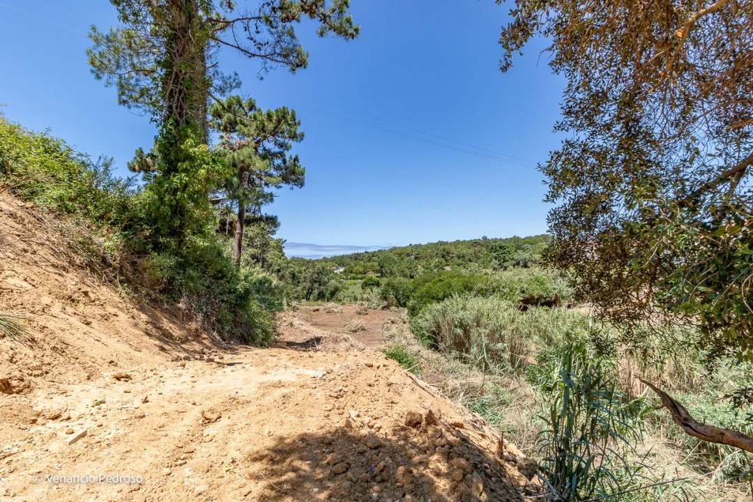 Terreno para Venda em Ericeira Foto 9