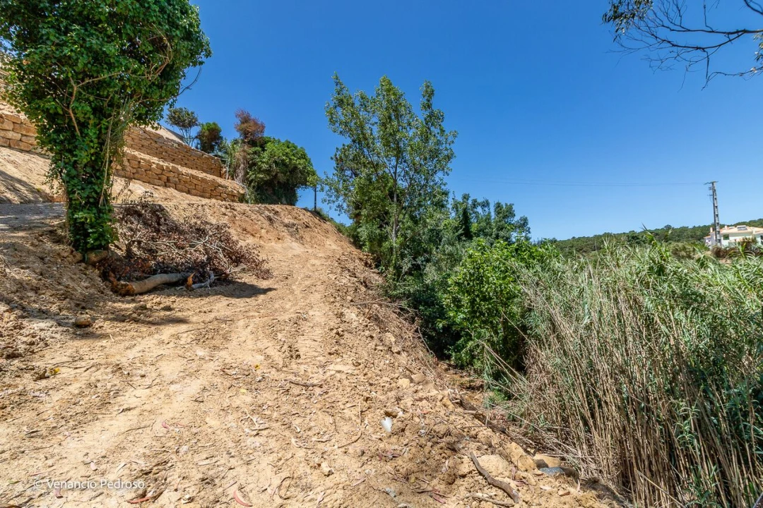 Terreno para Venda em Ericeira Foto 11