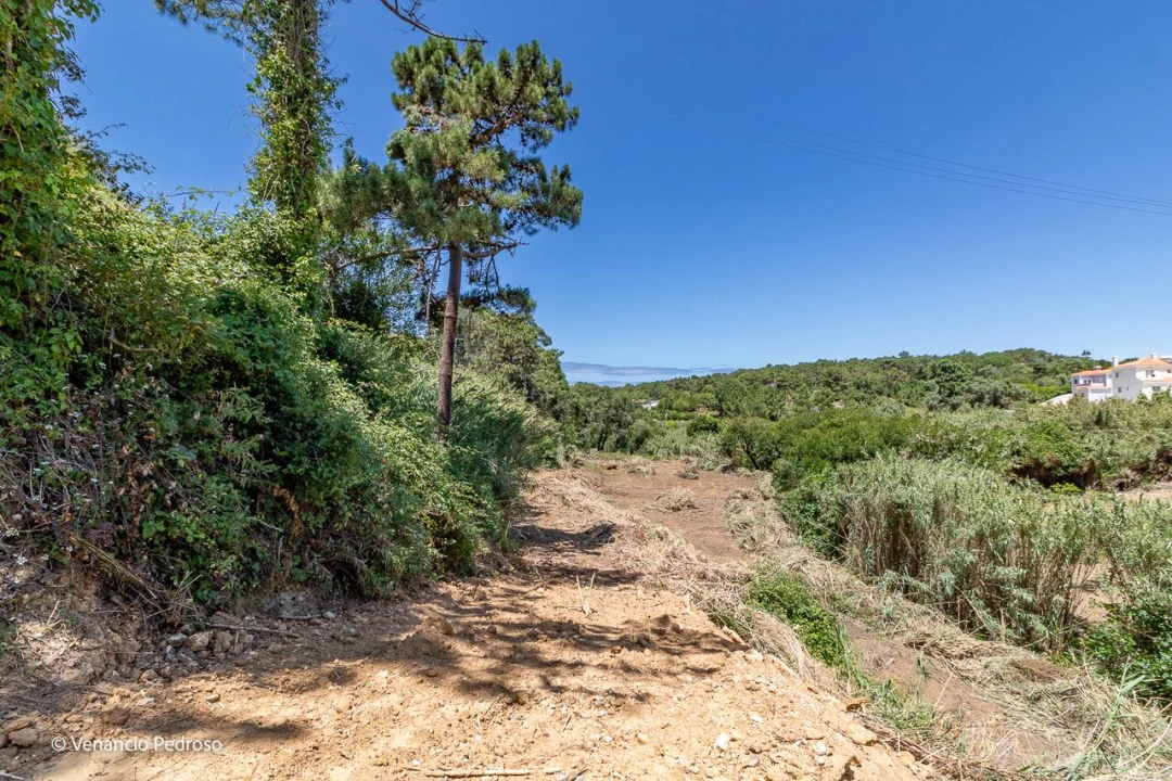 Terreno para Venda em Ericeira Foto 12