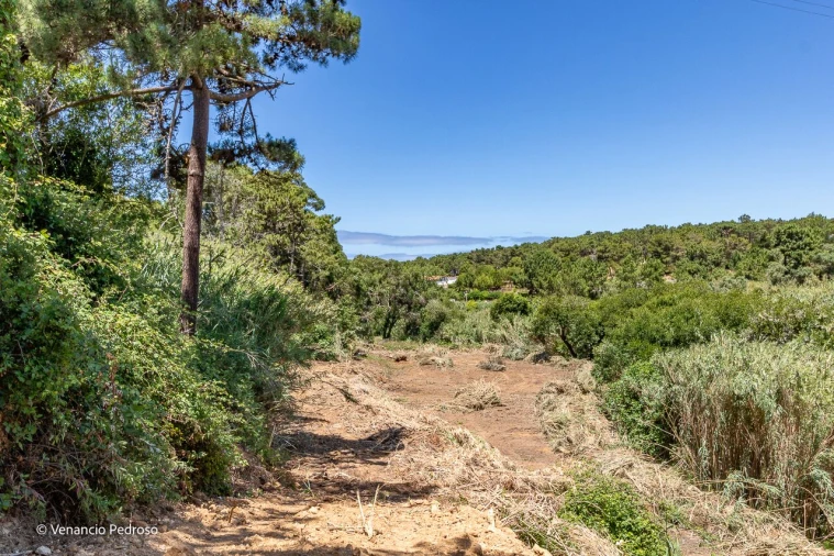 Terreno para Venda em Ericeira Foto 2