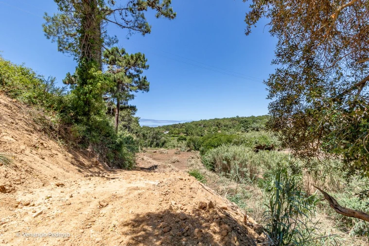 Terreno para Venda em Ericeira Foto 9