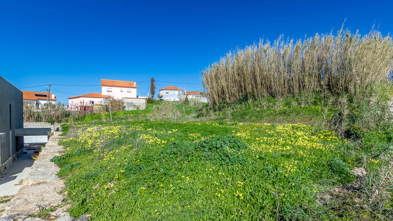 Terreno para Venda em Ericeira Foto 3