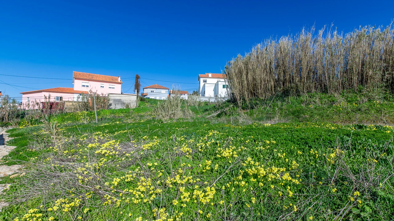 Terreno para Venda em Ericeira Foto 9