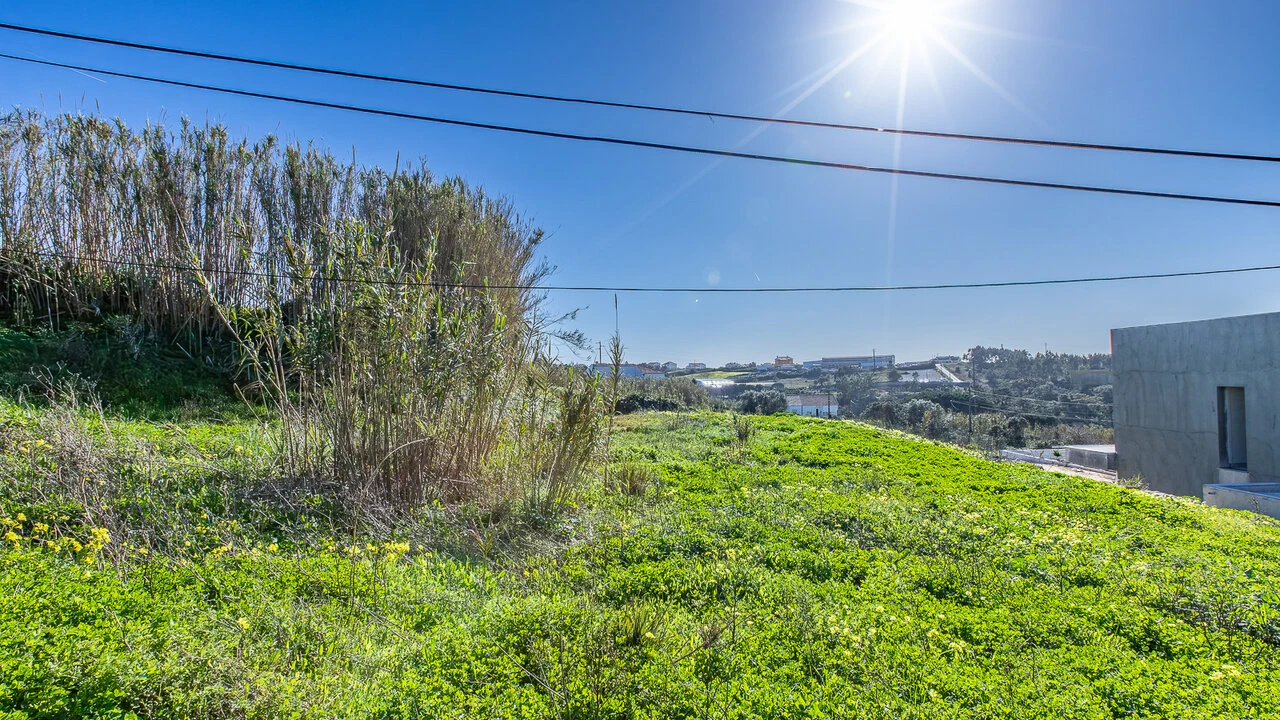 Terreno para Venda em Ericeira Foto 11