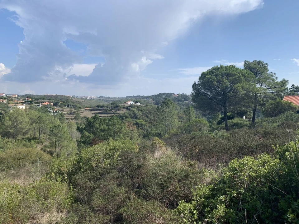 Terreno para Venda em Ericeira Foto 2