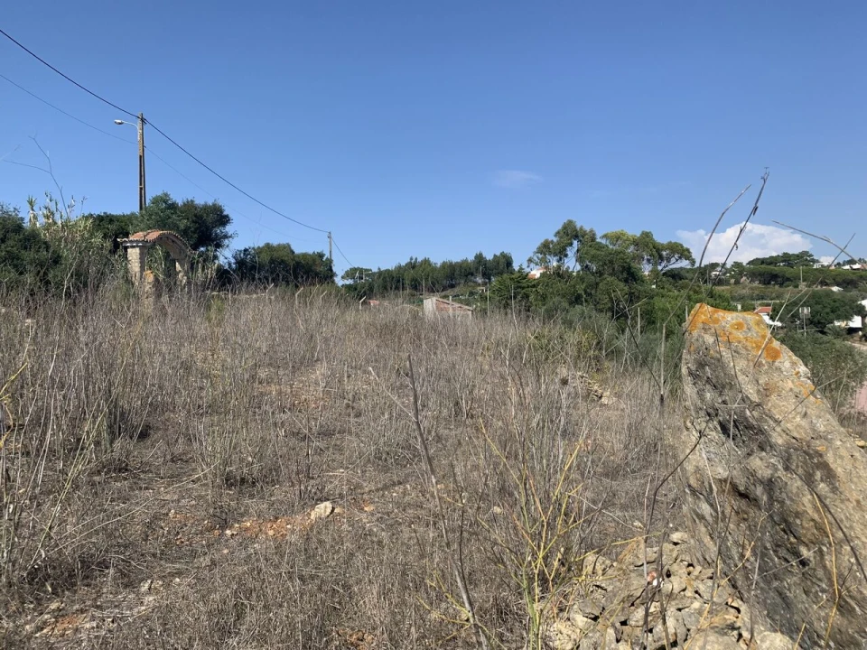 Terreno para Venda em Ericeira Foto 6
