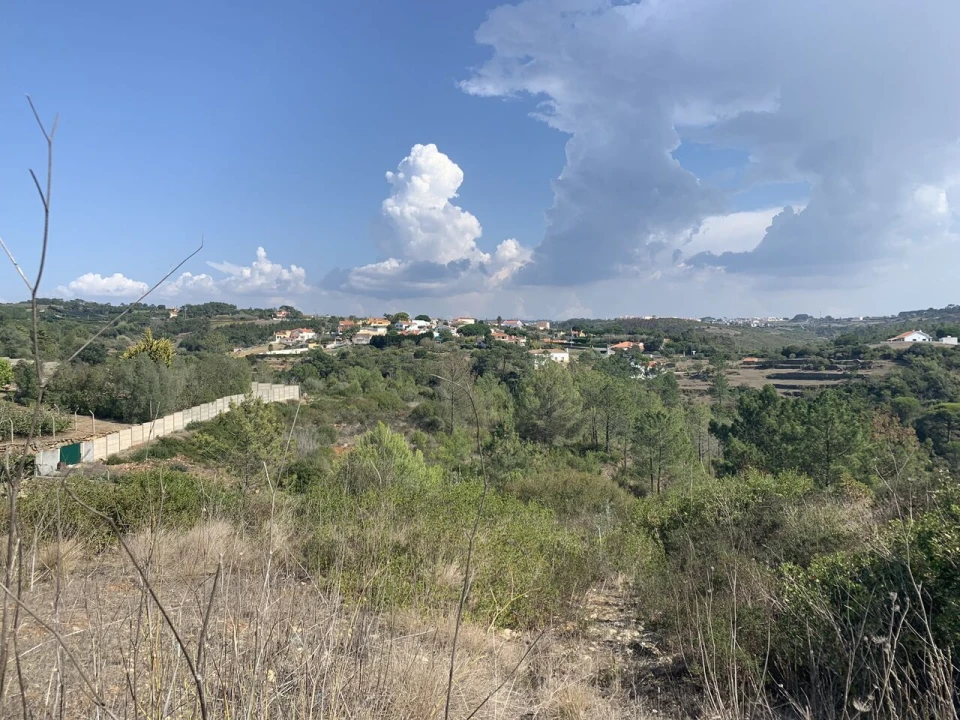 Terreno para Venda em Ericeira Foto 8