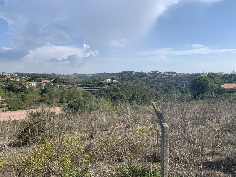 Terreno para Venda em Ericeira Foto 16