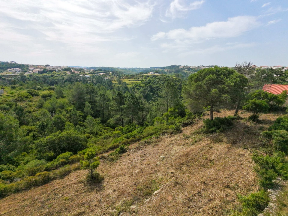 Terreno para Venda em Ericeira Foto 8