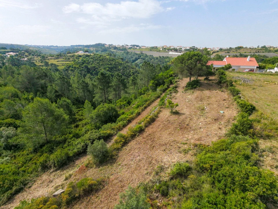 Terreno para Venda em Ericeira Foto 14
