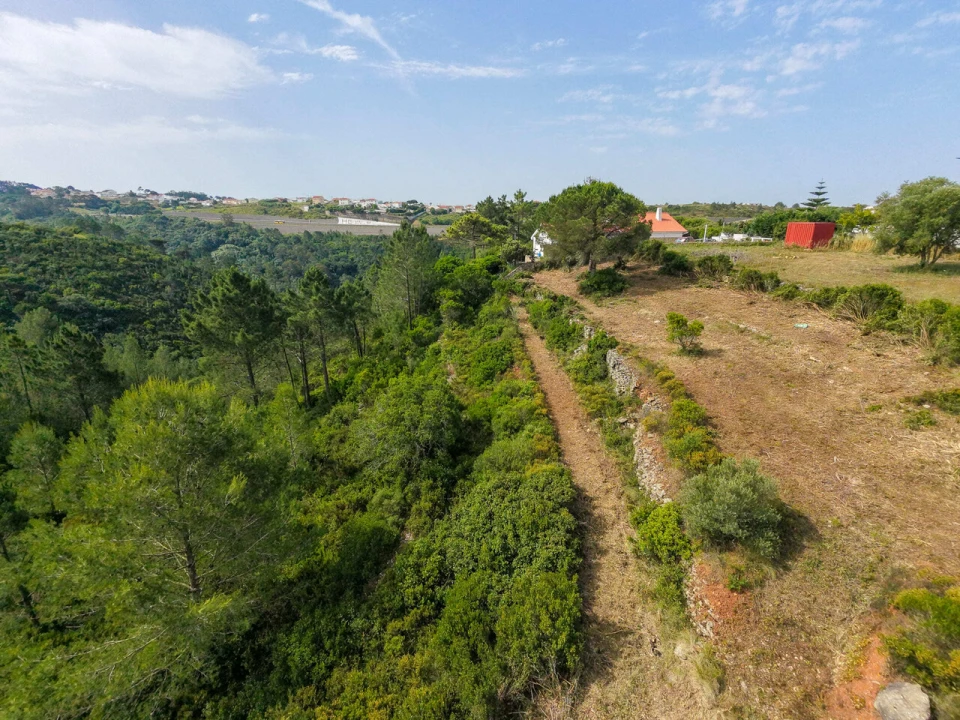 Terreno para Venda em Ericeira Foto 15