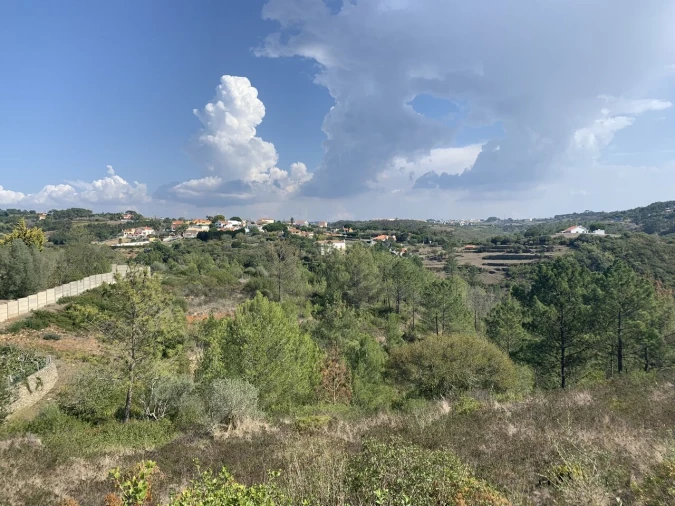 Terreno para Venda em Ericeira Foto 10