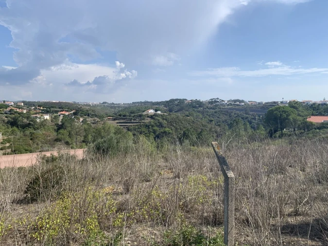 Terreno para Venda em Ericeira Foto 16