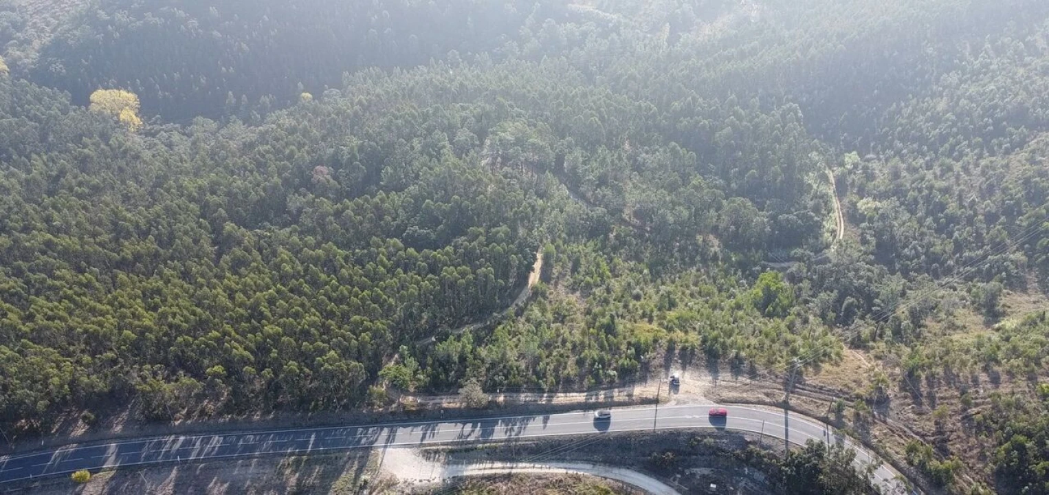 Terreno para Venda em Santo Isidoro Foto 6