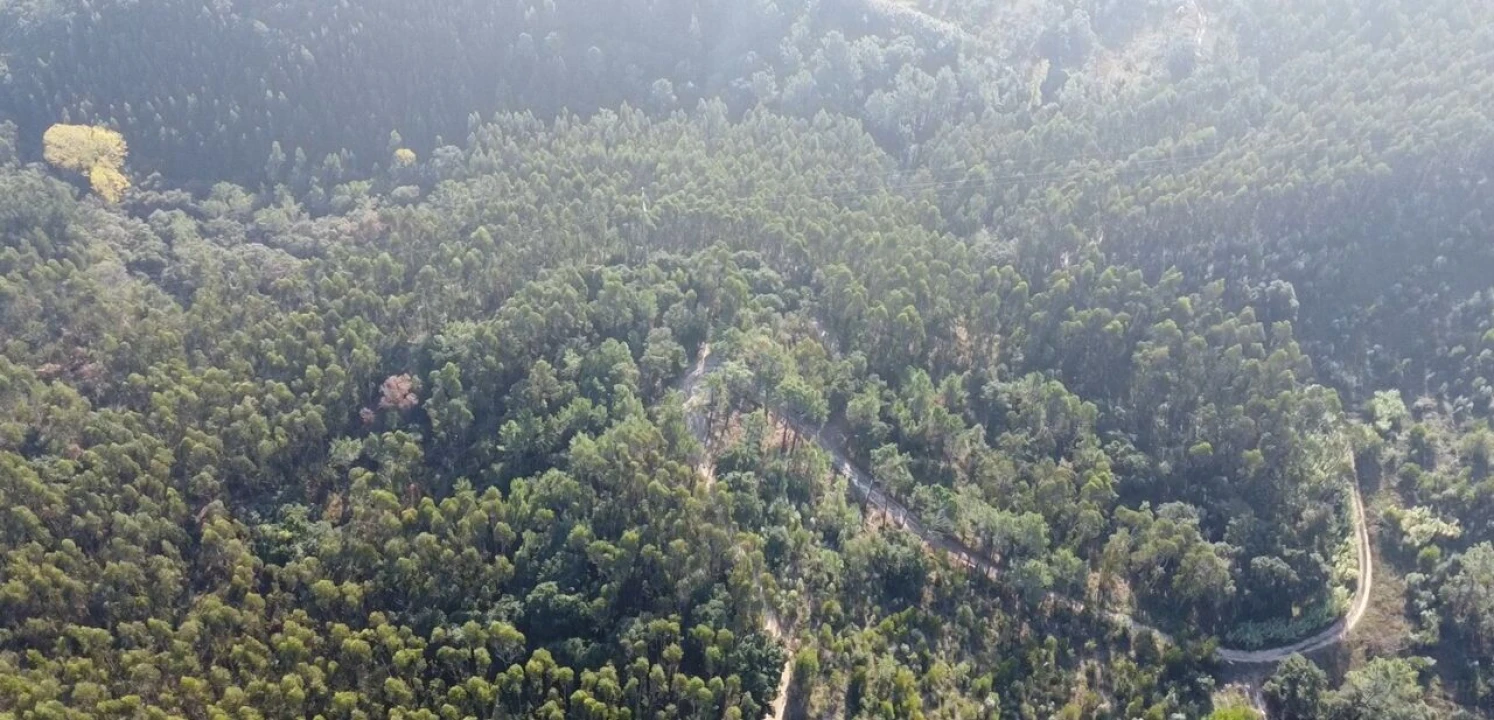 Terreno para Venda em Santo Isidoro Foto 7