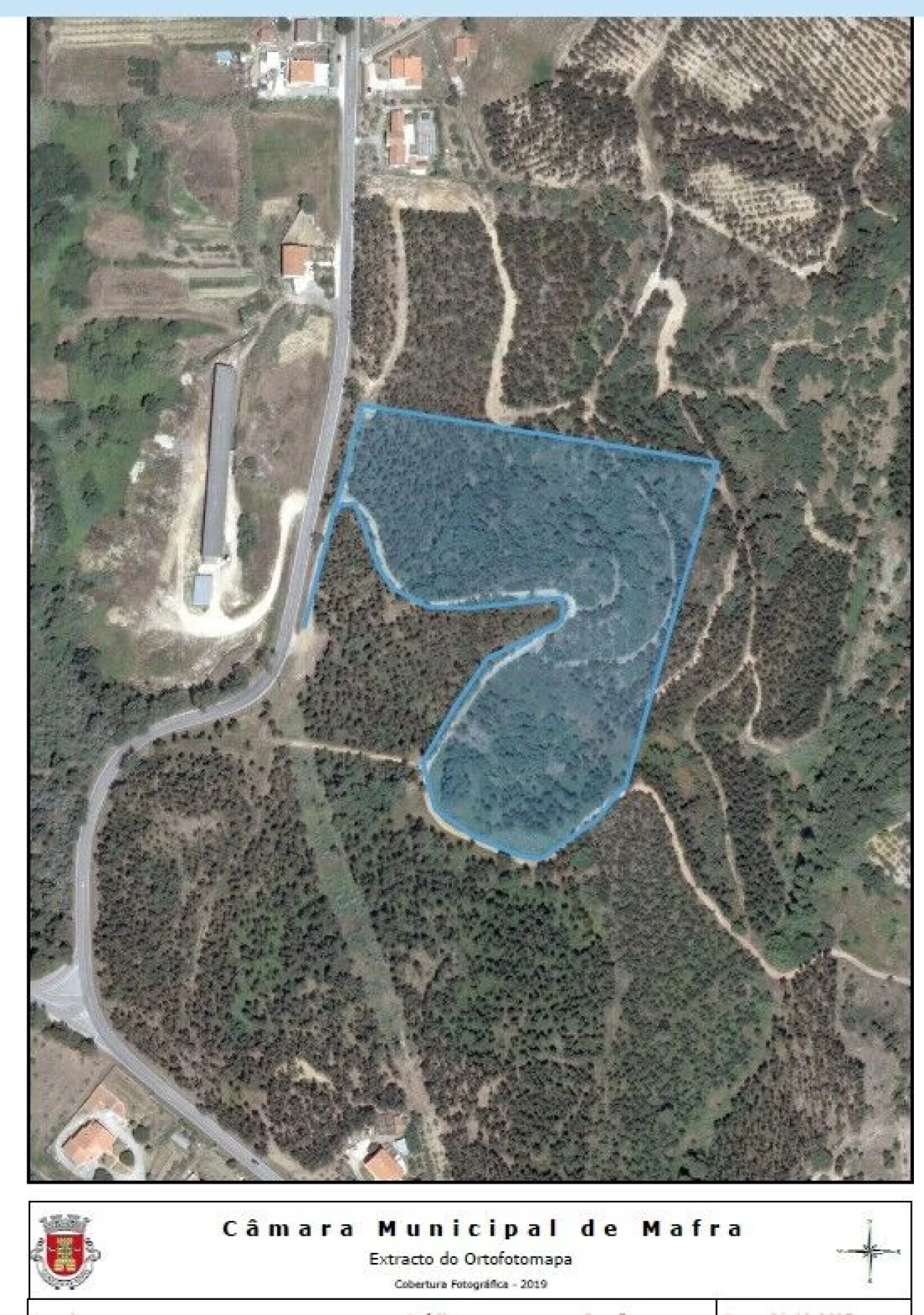 Terreno para Venda em Santo Isidoro Foto 9