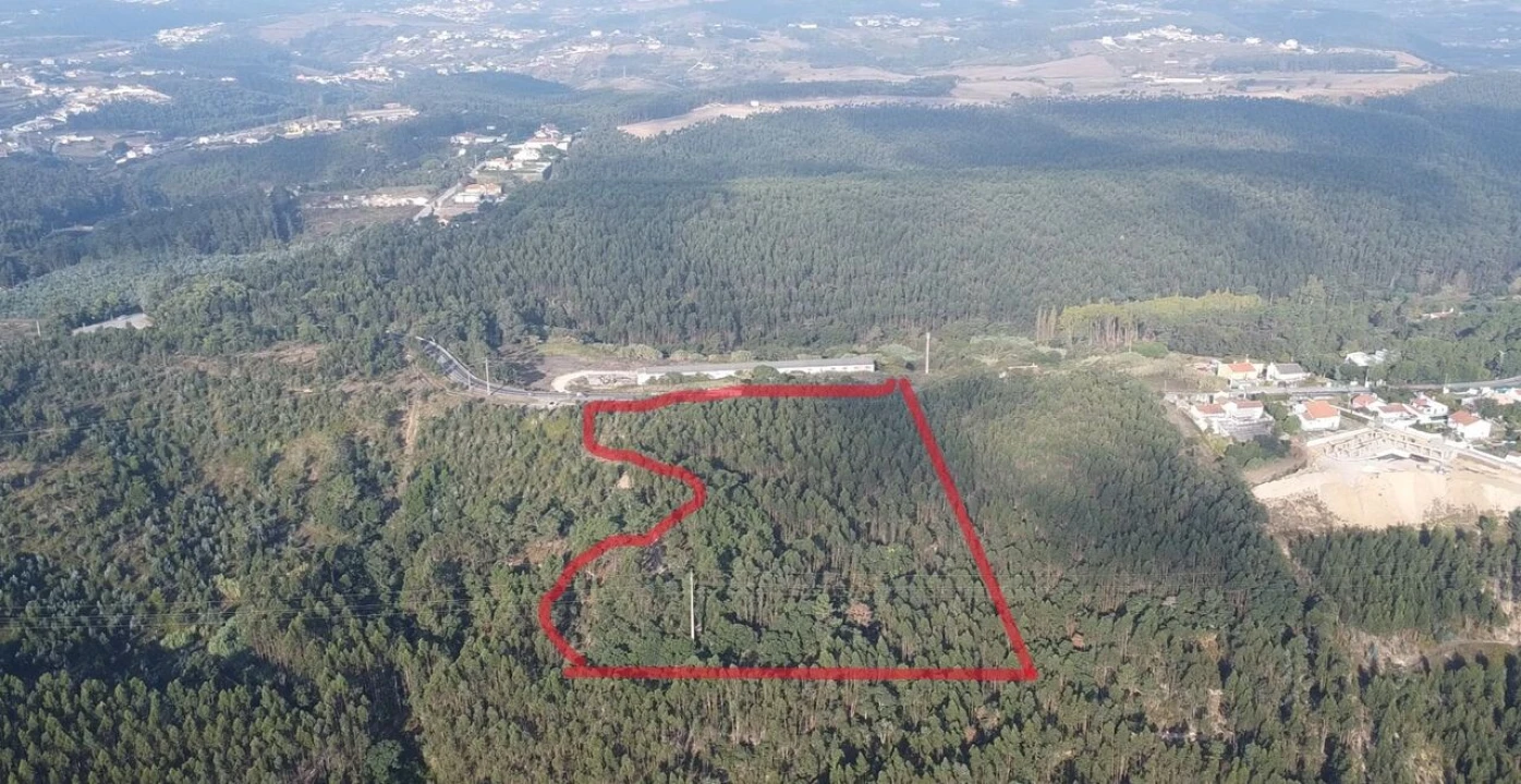 Terreno para Venda em Santo Isidoro Foto 2