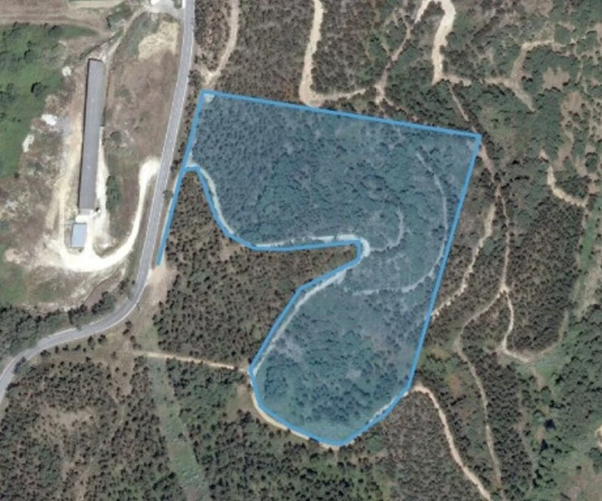 Terreno para Venda em Santo Isidoro Foto 4