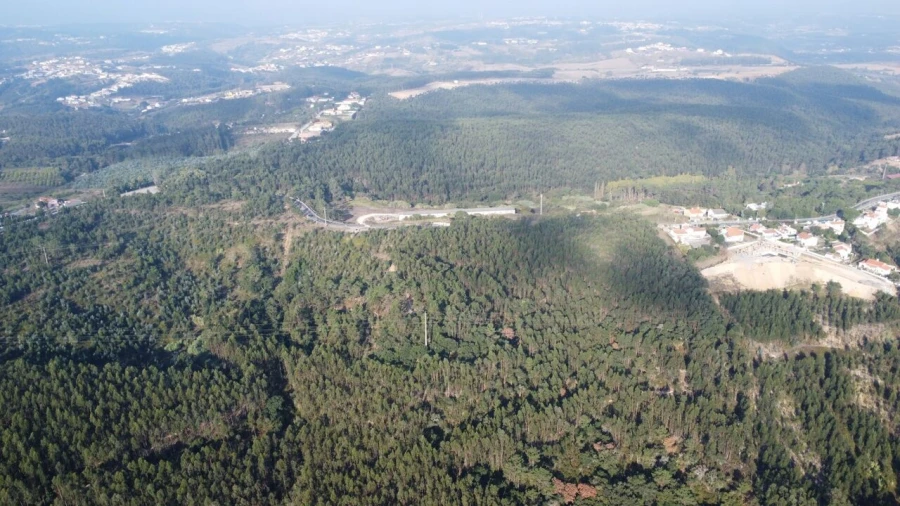 Terreno para Venda em Santo Isidoro Foto 5
