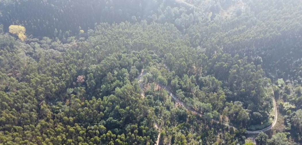 Terreno para Venda em Santo Isidoro Foto 7