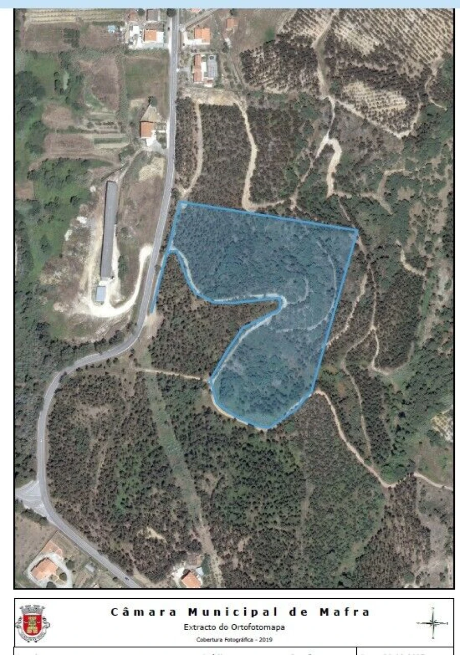 Terreno para Venda em Santo Isidoro Foto 9