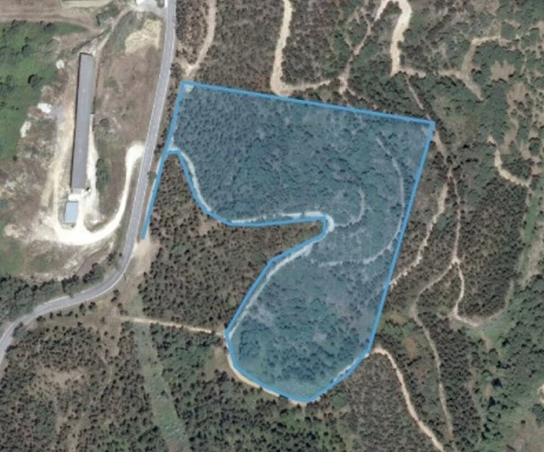 Terreno para Venda em Santo Isidoro Foto 4