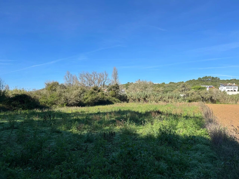 Terreno para Venda em Ericeira Foto 3