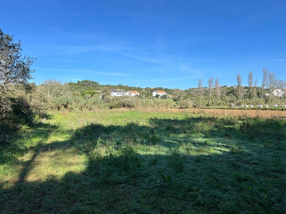 Terreno para Venda em Ericeira Foto 4