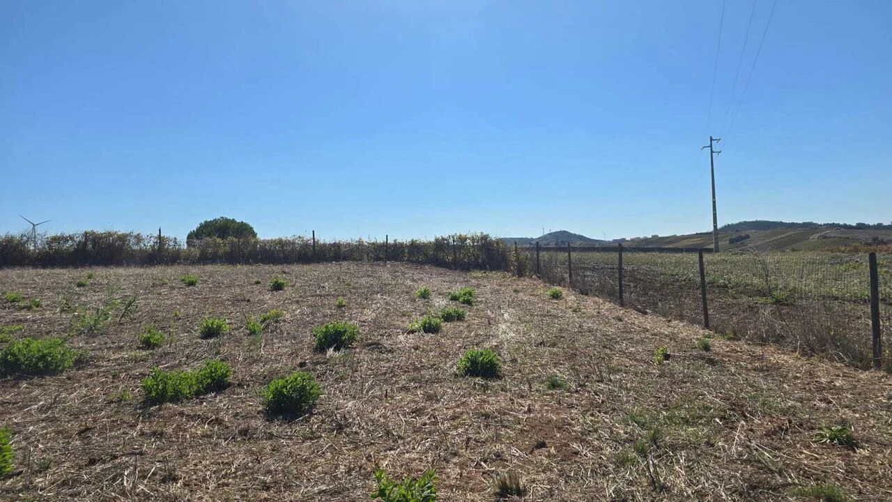 Terreno para Venda em Ventosa Foto 4
