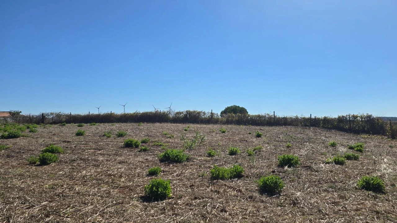 Terreno para Venda em Ventosa Foto 1