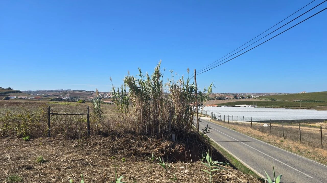 Terreno para Venda em Ventosa Foto 3