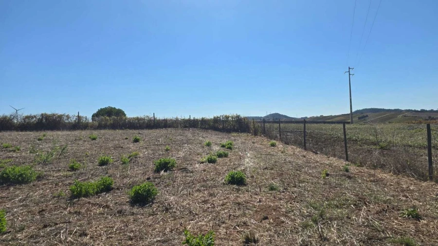 Terreno para Venda em Ventosa Foto 4