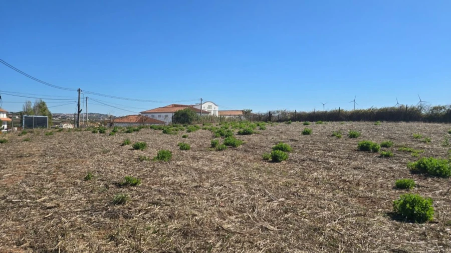 Terreno para Venda em Ventosa Foto 5