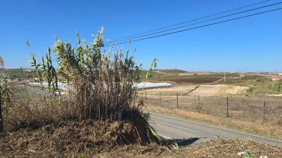 Terreno para Venda em Ventosa Foto 6