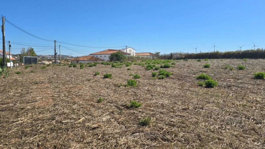 Terreno para Venda em Ventosa Foto 2