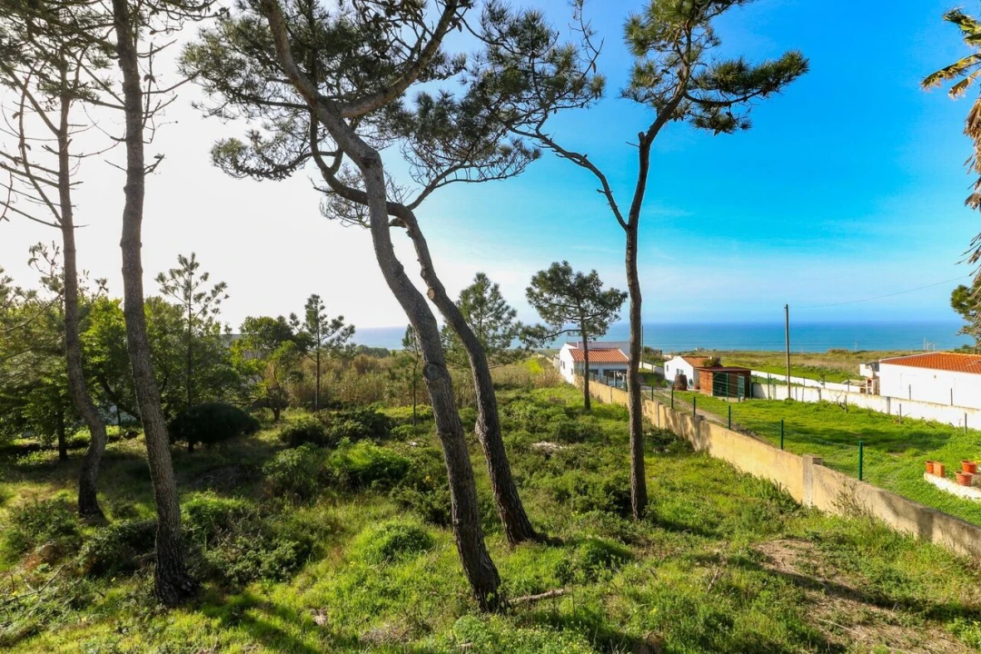 Terreno para Venda em São João das Lampas e Terrugem Foto 5