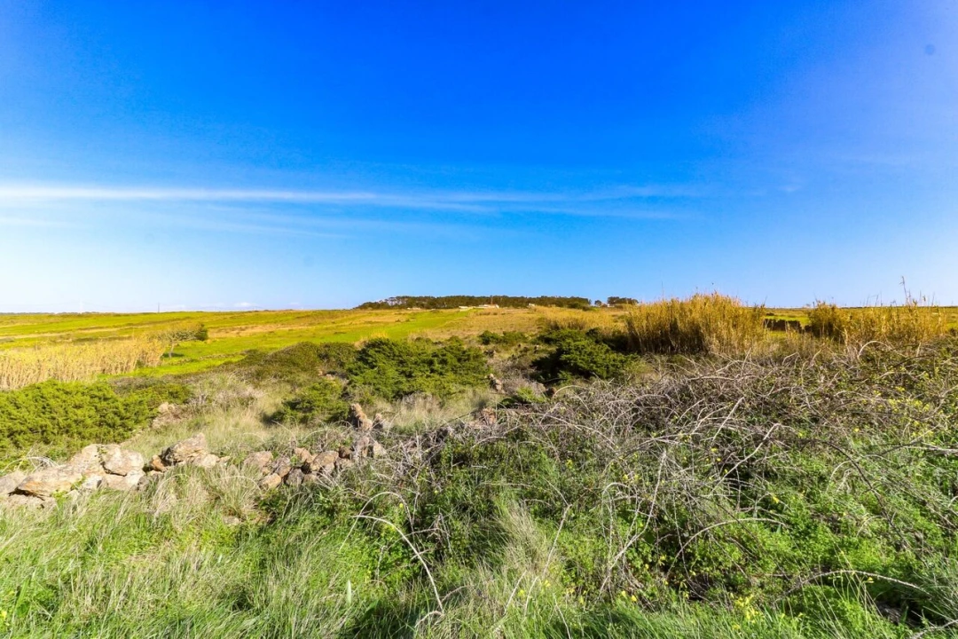Terreno para Venda em São João das Lampas e Terrugem Foto 1